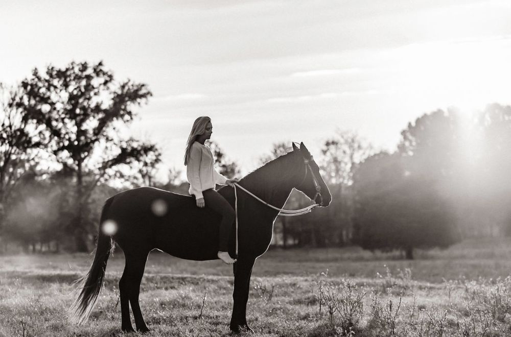 Sunshine Acres Ranch - equestrian in Romance, AR