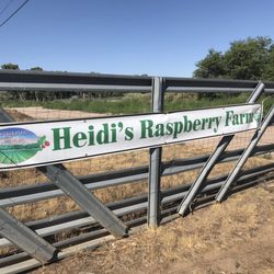 Heidi's Raspberry Farm