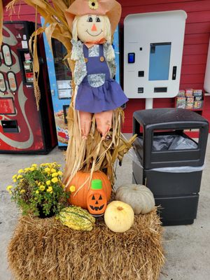 Smoky Mountain Alpine Coaster by null