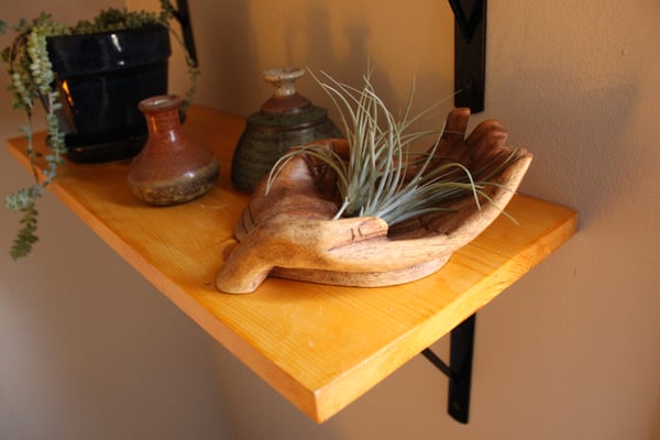 The Bodhi Tree Clinic