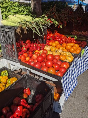 Issaquah Farmers Market by null