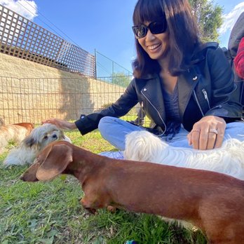 PUPPIES AND REPTILES FOR PARTIES - 146 Photos & 129 Reviews - Torrance