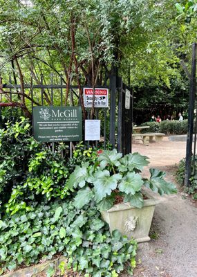 McGill Rose Garden by null