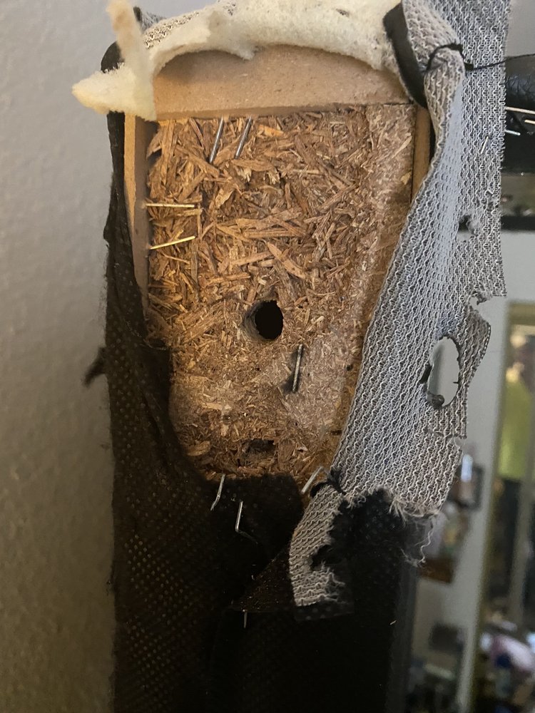 BEST FURNITURE Updated August 2024 13 Photos & 59 Reviews 2298 Quimby Rd, San Jose