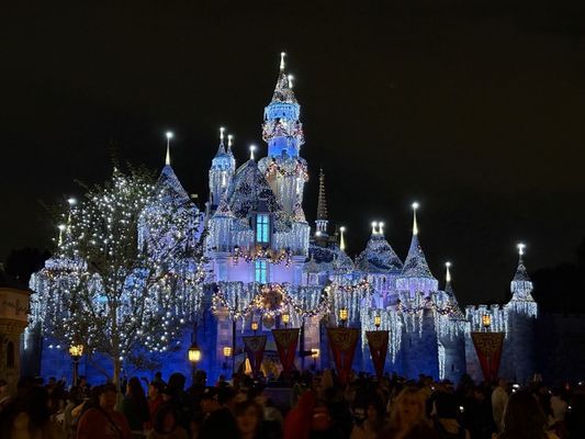 Sleeping Beauty Castle Walkthrough by null