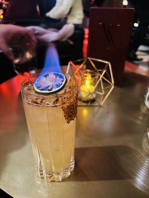 The Vinyl Society by null