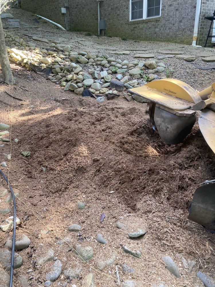 Marksmen - tree service in Millwood, WV