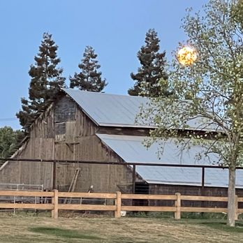 Boncuklardan yasalgan ari kashtasi