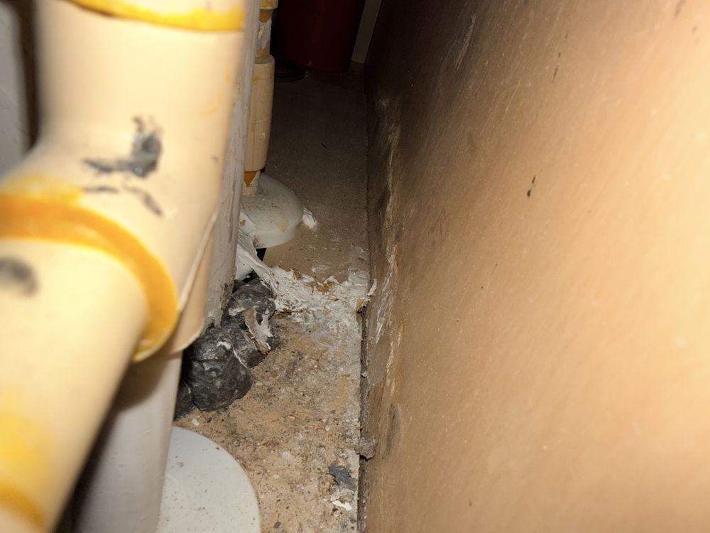 AIR Resolutions - mold inspector in Clearwater, FL