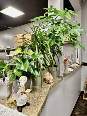 Leona's Cucina by null
