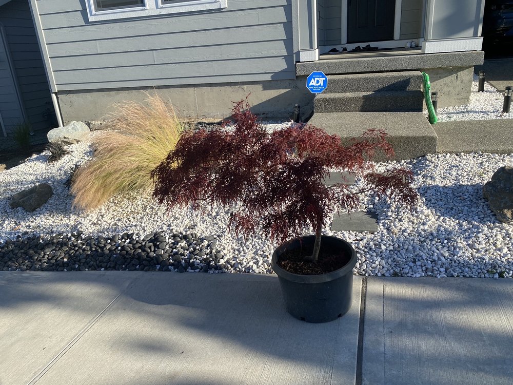 WEST VALLEY NURSERY Updated August 2024 27701 W Valley Hwy S, Kent