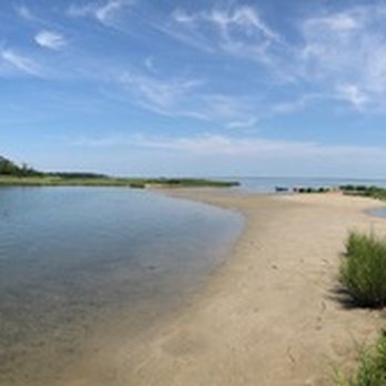 Coastal Kayak - Tours Near Me - Fenwick Island, Delaware