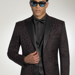 Ziggy's Tuxedo Suit & DJ Service