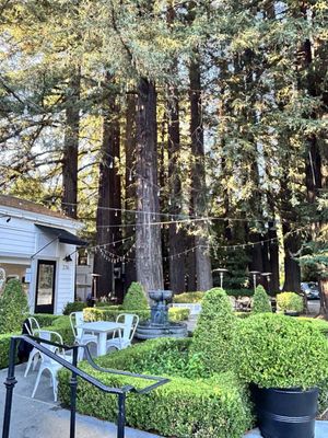 Boichik Bagels Larkspur by null