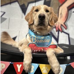 RFRD celebrated Billie on her birthday when we couldn't!! So sweet!!