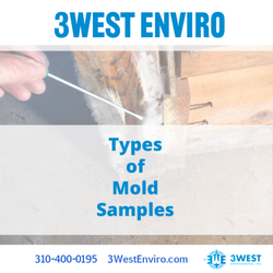 3West Environmental - Common types of mold samples