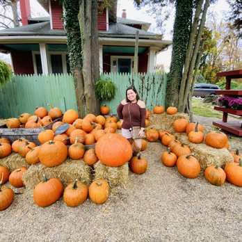 DePaul’s Urban Farm - a woman sitting in a pile of pumpkins - Christmas Trees Near Me - Vienna, Virginia DePaul’s Urban Farm - a woman sitting in a pile of pumpkins - Christmas Trees Near Me - Vienna, Virginia