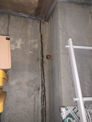 Limitless Thinkers Exposed Logo