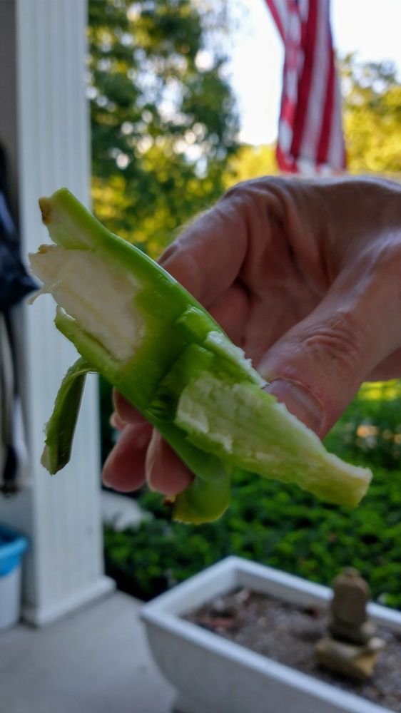 ROLLING MEADOWS FARMS GARDEN CENTER AND PLANTS Updated September 2024