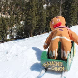 Diamond Peak Dummy Downhill