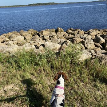 Tomoka State Park - Parks Near Me - Ormond Beach, Florida