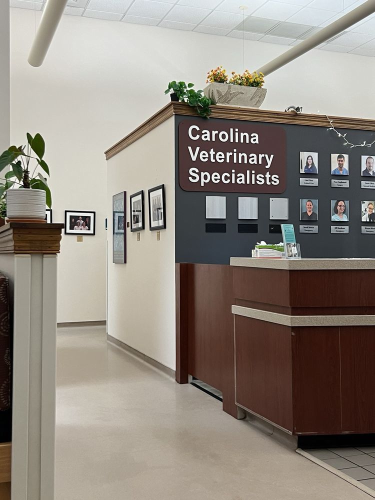 CAROLINA VETERINARY SPECIALISTS Updated September 2024 13 Photos & 79 Reviews 501 Nicholas