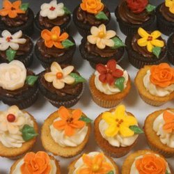 Whisk AVL - Buttercream flower cupcakes