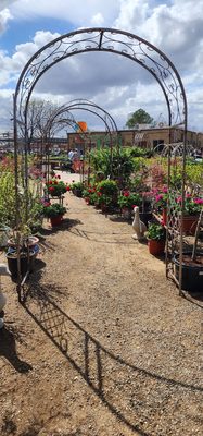 Green's Produce and Plants by null