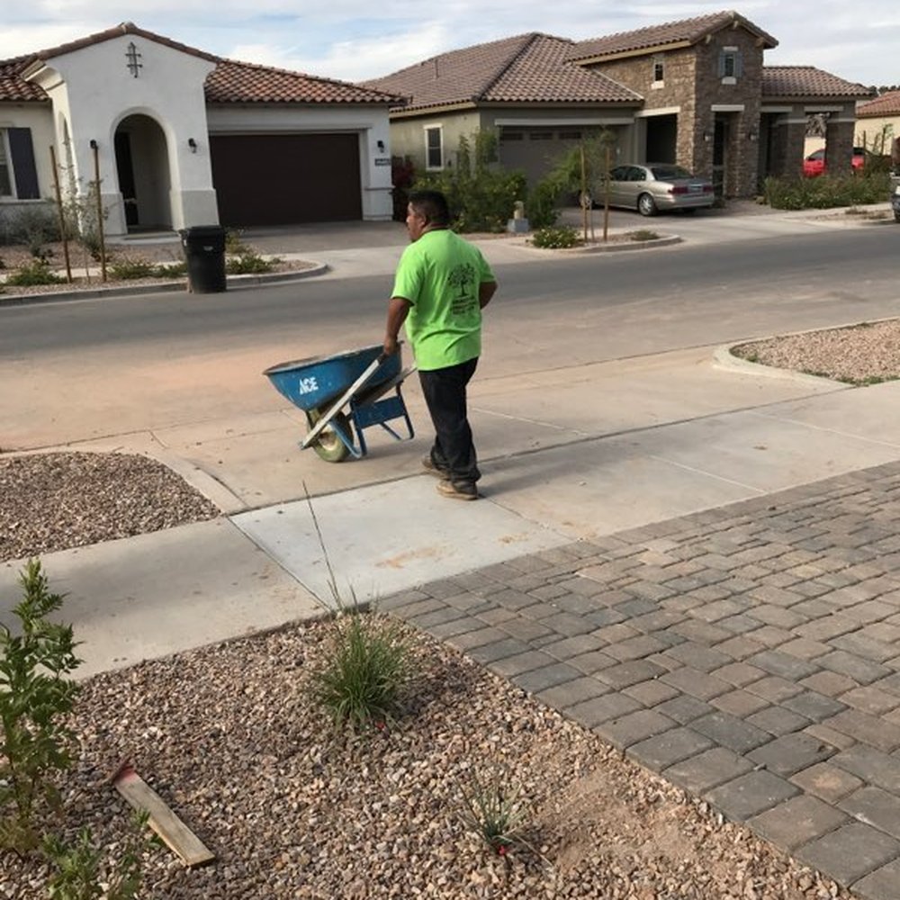 Romero G Landscaping - Working hard. - Landscaping Near Me - Phoenix, Arizona Romero G Landscaping - Working hard. - Landscaping Near Me - Phoenix, Arizona