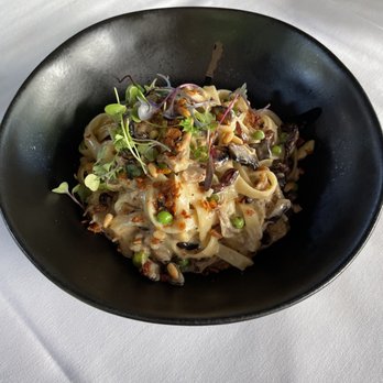Cucina Venti Restaurant - Duck confit pasta - Italian Near Me - Mountain View, California Cucina Venti Restaurant - Duck confit pasta - Italian Near Me - Mountain View, California