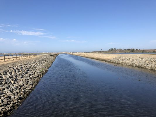 Wetlands & Wildlife Care Center by null