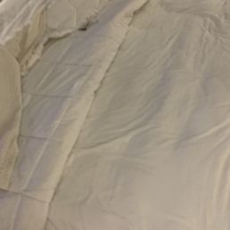 There is no bed sheet. Fitted sheet, with a "comforter" that is supposed to be in a duvet. There is no bed sheet. Fitted sheet, with a "comforter" that is supposed to be in a duvet.