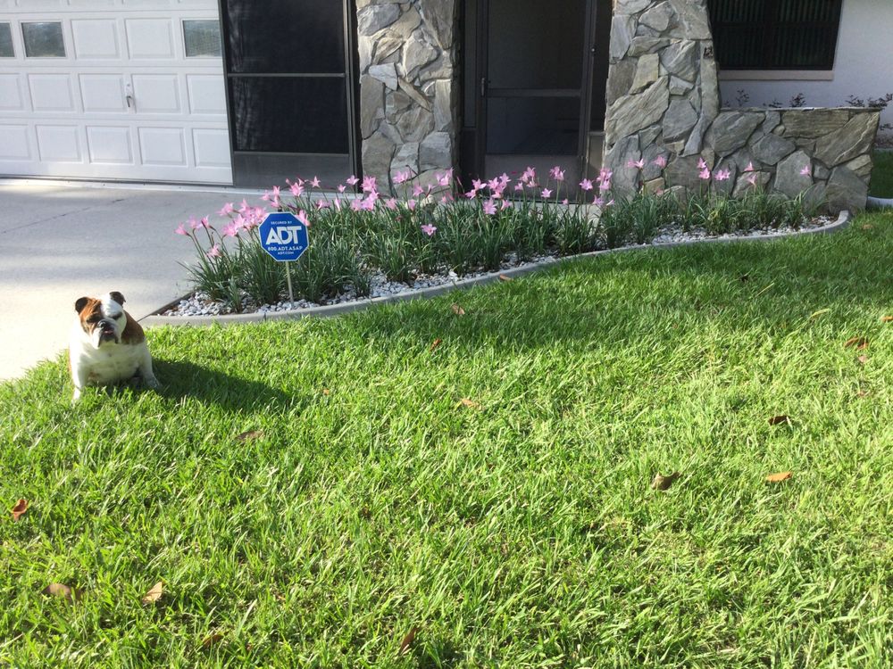 Slide of AAA Roofing