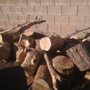 My Tree Guy AZ