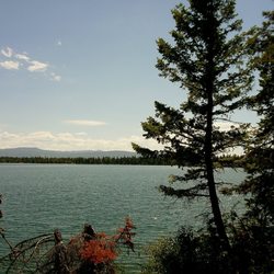 Jenny Lake