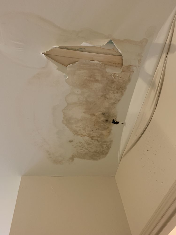 Slide of Eagle’s Speedy Construction