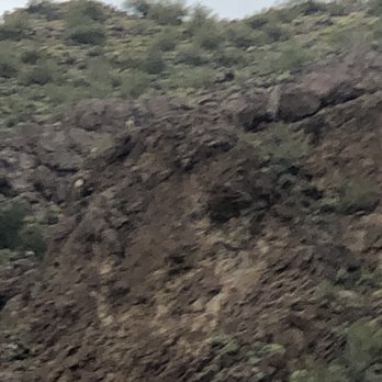 Desert Belle Cruises - Tours Near Me - Mesa, Arizona
