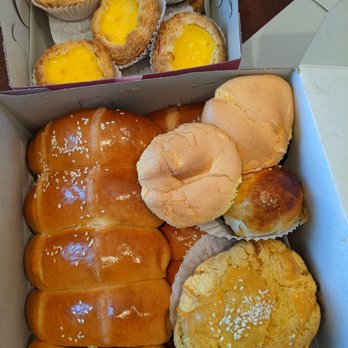 Ruby King Bakery - Dan tat, cocktail buns, ... - Bakeries Near Me - Oakland, California Ruby King Bakery - Dan tat, cocktail buns, ... - Bakeries Near Me - Oakland, California