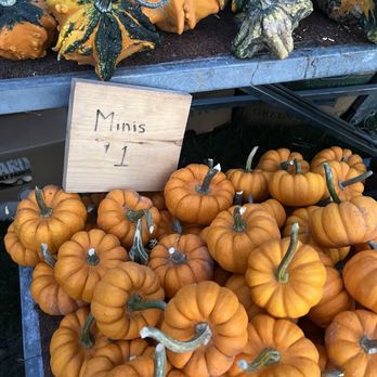 First Church Baldwin - $1 mini pumpkins - Churches Near Me - Baldwin, New York