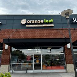 Orange Leaf Frozen Yogurt