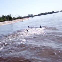 Bonita Jetski & Parasail