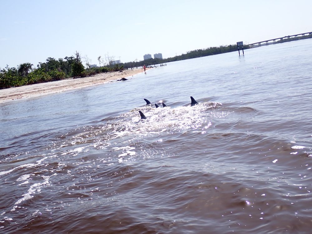 Social spots from Bonita Jetski & Parasail