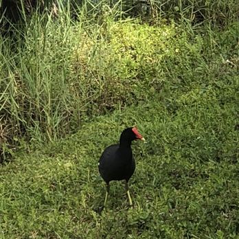 Peace Mound Park - Parks Near Me - Weston, Florida