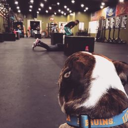 Super dog friendly!! Love it Super dog friendly!! Love it