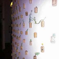 Alma Dórica - Parte de la decoración, corchos y plantitas