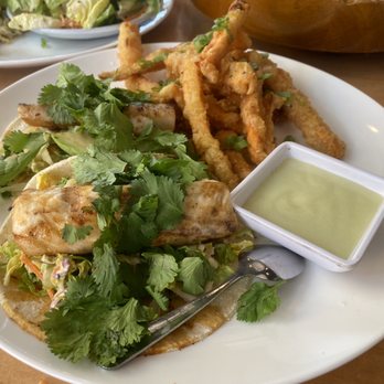 Yokozuna Yale - Thai Grilled Fish Tacos - Sushi Bars Near Me - Tulsa, Oklahoma Yokozuna Yale - Thai Grilled Fish Tacos - Sushi Bars Near Me - Tulsa, Oklahoma