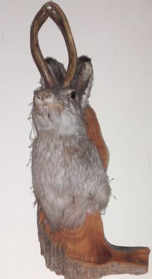 Rei Do Gado Brazilian Steakhouse by null