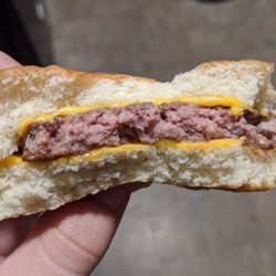 Wendy's - Raw hamburger