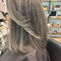 Hair by Megan Taylor - Grey highlights