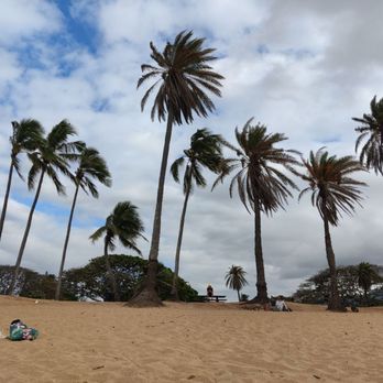 Shark's Cove - Trees on the beach - Beaches Near Me - Haleiwa, Hawaii Shark's Cove - Trees on the beach - Beaches Near Me - Haleiwa, Hawaii